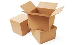 Master Cartons Corrugated Boxes - Piedmont National Corporation
